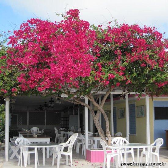 Anegada Reef Hotel The Settlement Restaurant foto