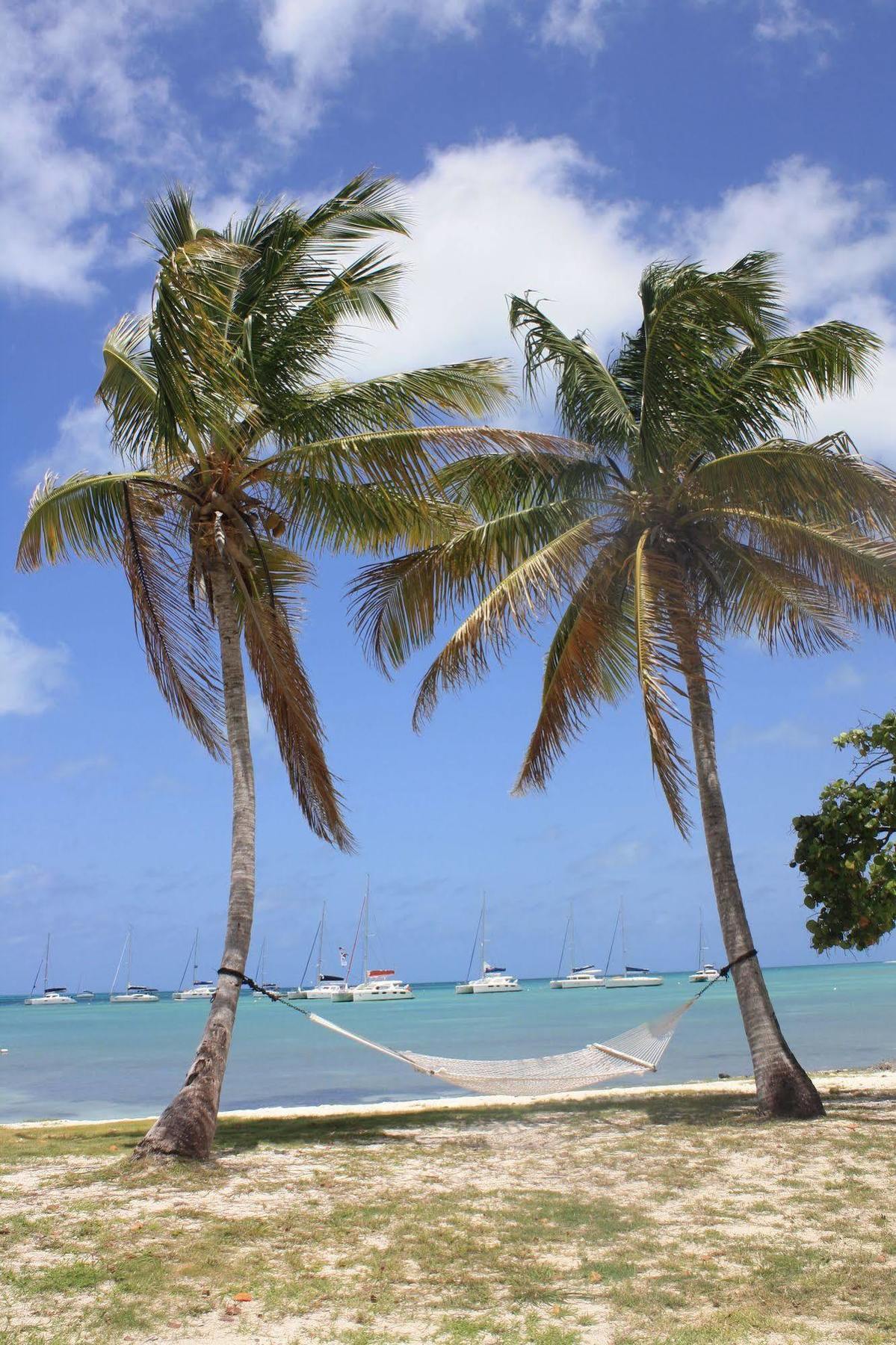 Anegada Reef Hotel The Settlement Buitenkant foto